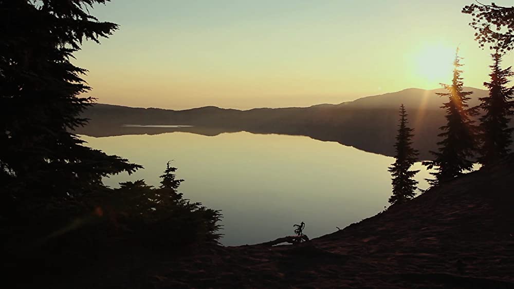 ゾンビーバーの画像