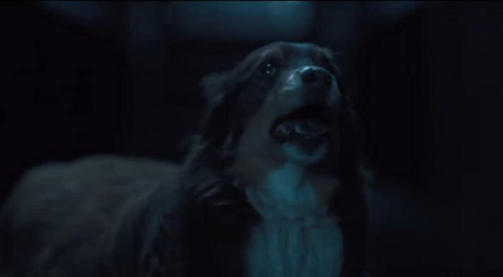 ヘレディタリー／継承の画像