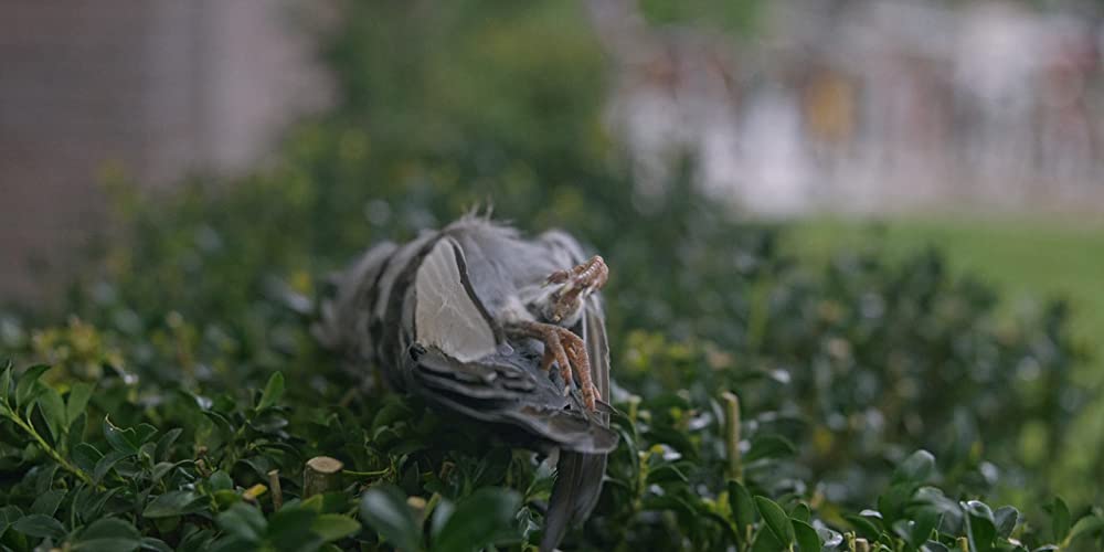 ヘレディタリー／継承の画像