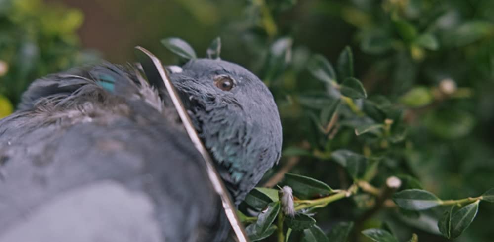ヘレディタリー／継承の画像