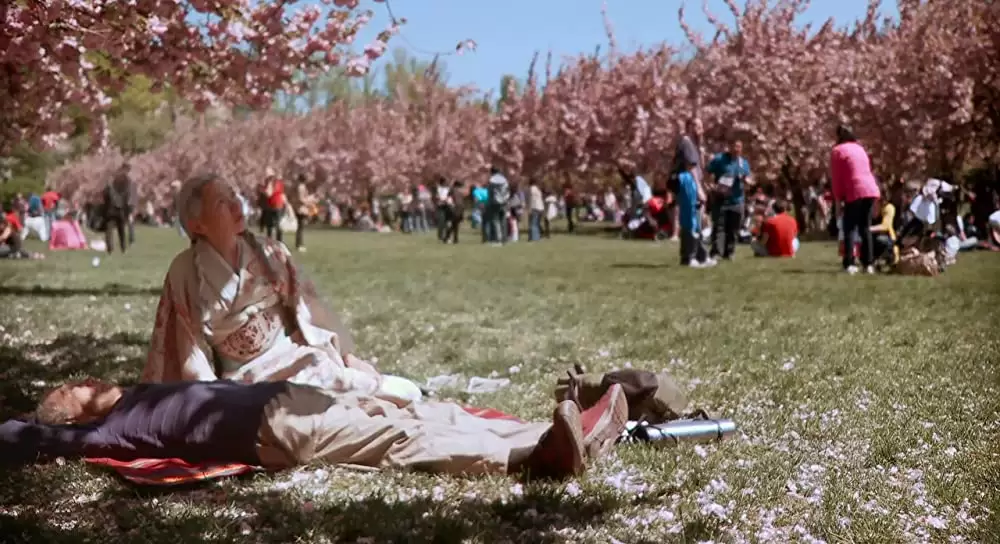 キューティー＆ボクサーの画像