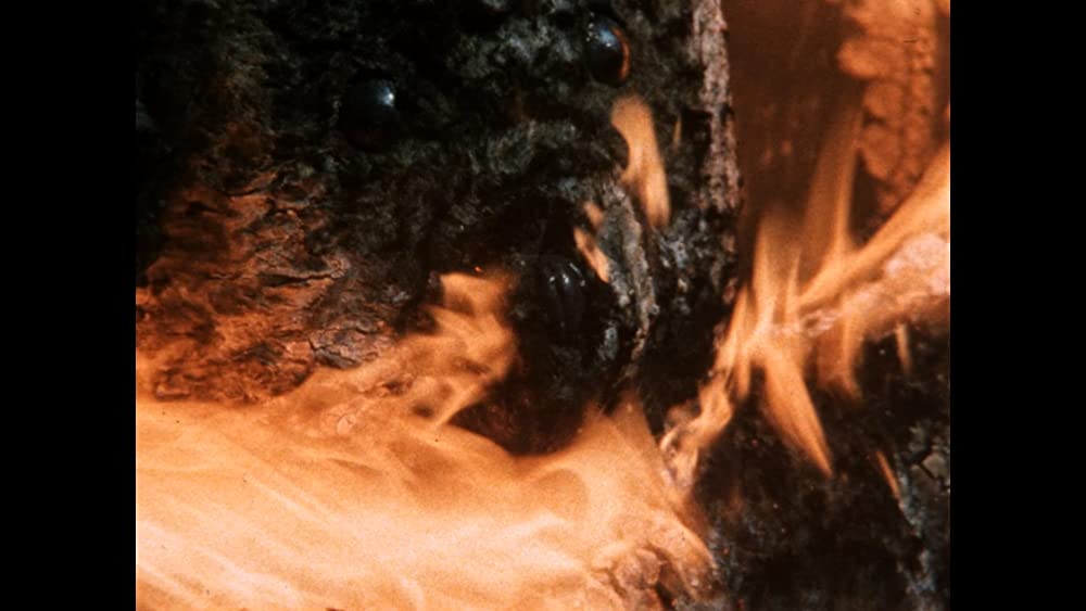 SF核戦争後の未来・スレッズの画像