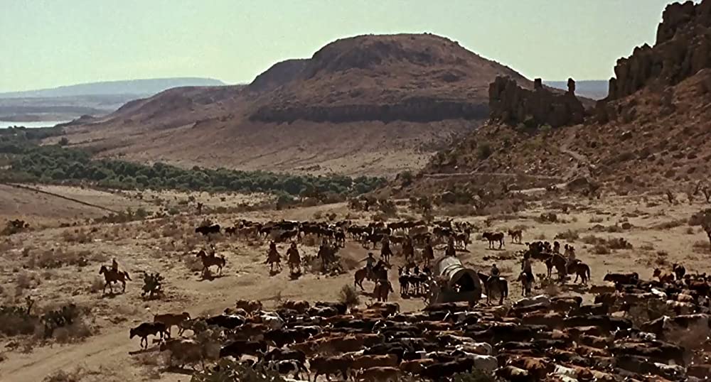 ガン・ファイターの画像