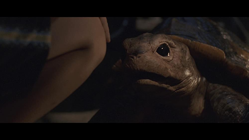 小さき勇者たち 〜ガメラ〜の画像