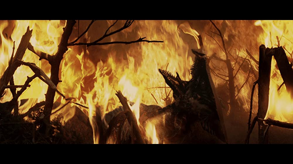 小さき勇者たち 〜ガメラ〜の画像