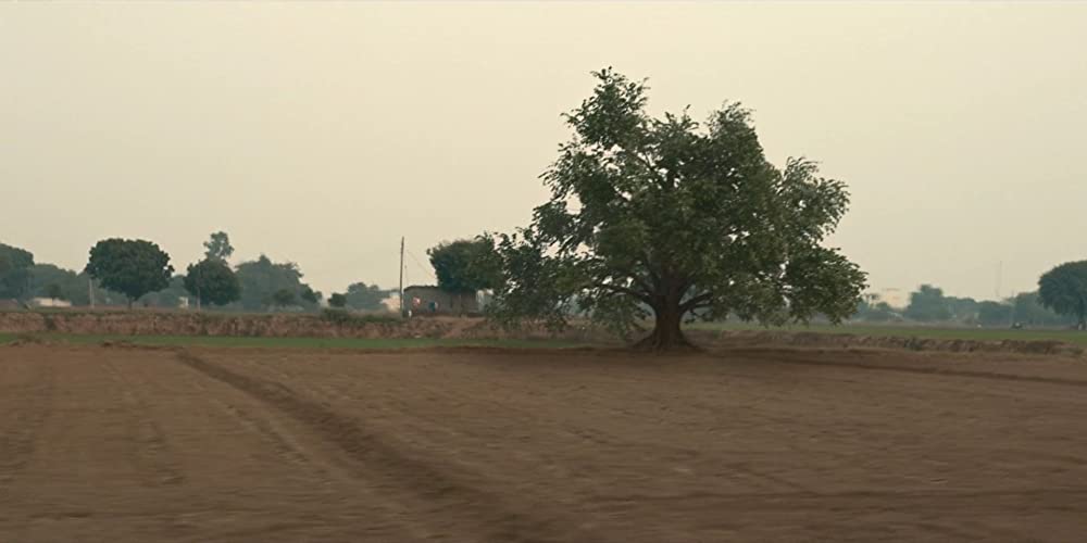 ザ・ホワイトタイガーの画像