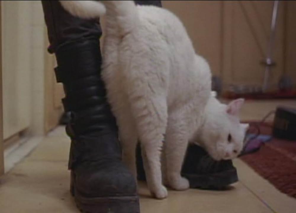 フィフス・エレメントの画像