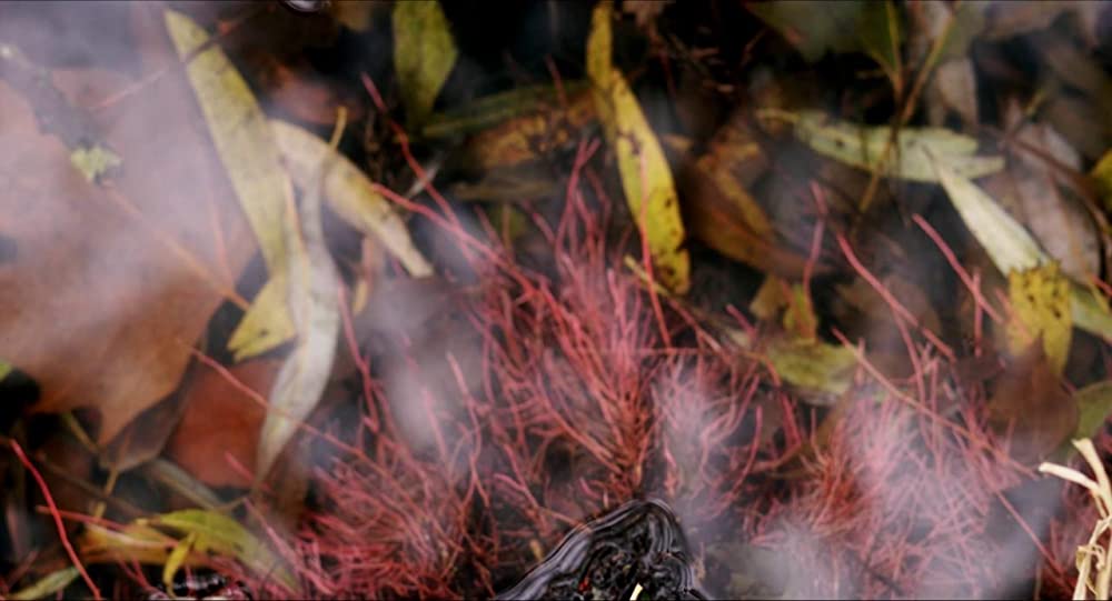 フォーリング 少女たちのめざめの画像