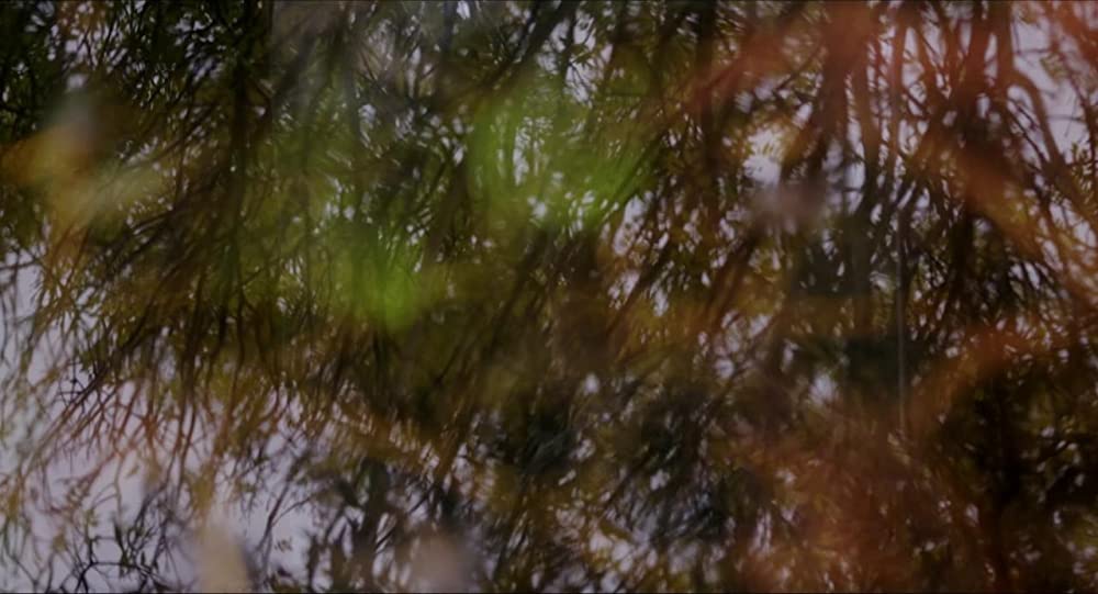 フォーリング 少女たちのめざめの画像