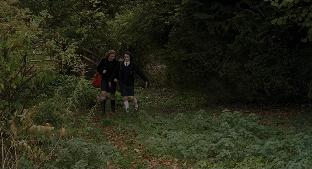 「フォーリング 少女たちのめざめ」メイジー・ウィリアムズ & フローレンス・ピューの画像