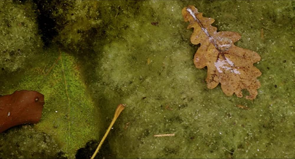 フォーリング 少女たちのめざめの画像