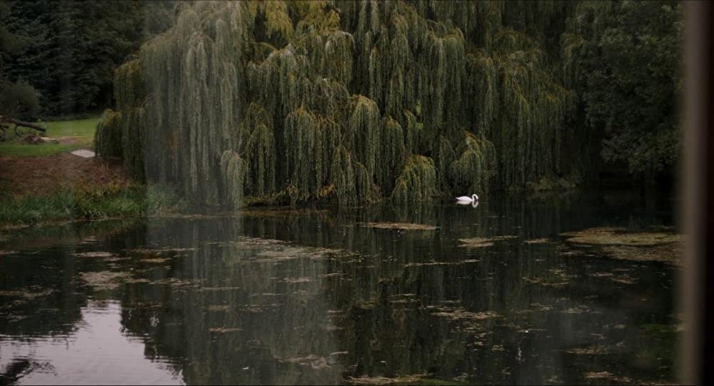 フォーリング 少女たちのめざめの画像