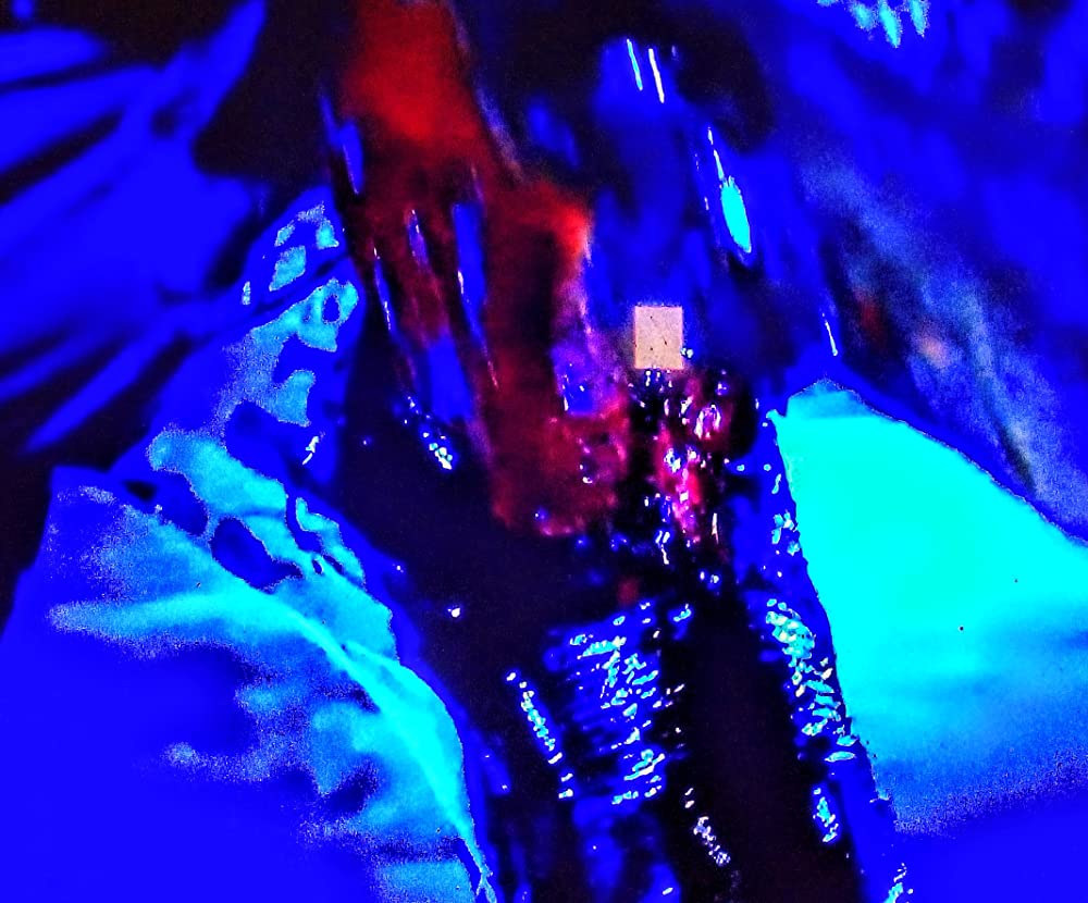 スターシップ・トゥルーパーズの画像