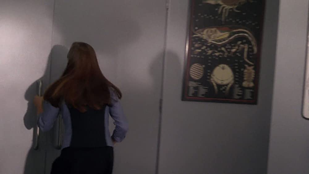 スターシップ・トゥルーパーズの画像