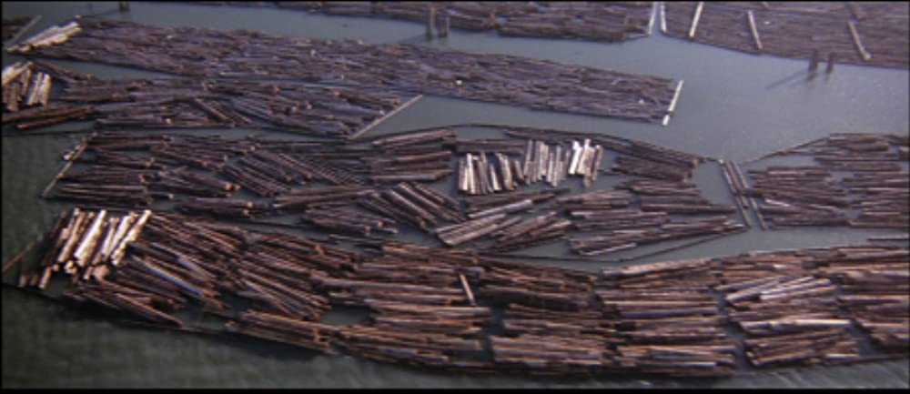 「プロフェシー／恐怖の予言」の画像