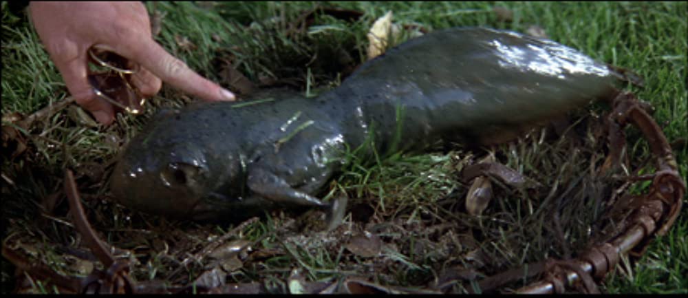 「プロフェシー／恐怖の予言」の画像