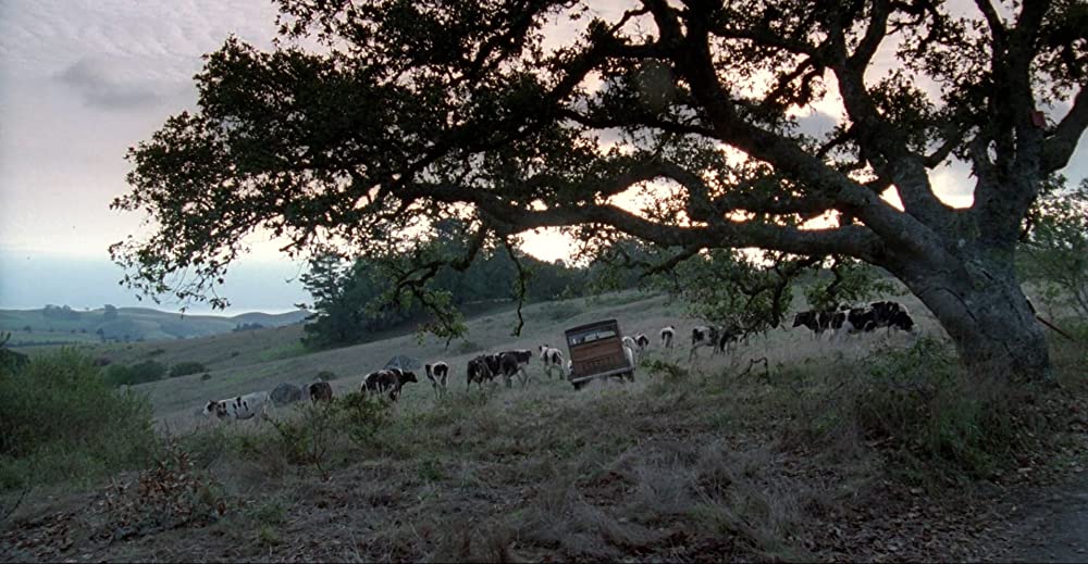 ロリータの画像