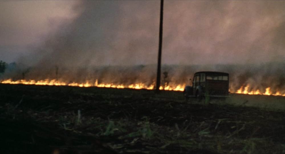 ロリータの画像