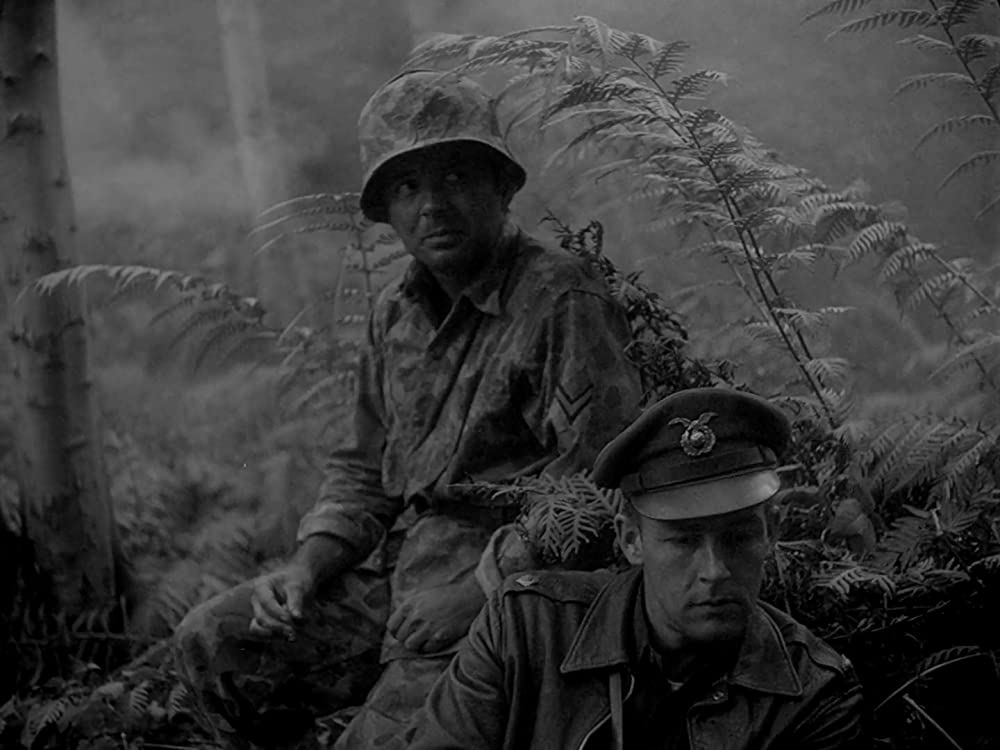 「恐怖と欲望」スティーブ・コルト & ケニス・ハープの画像