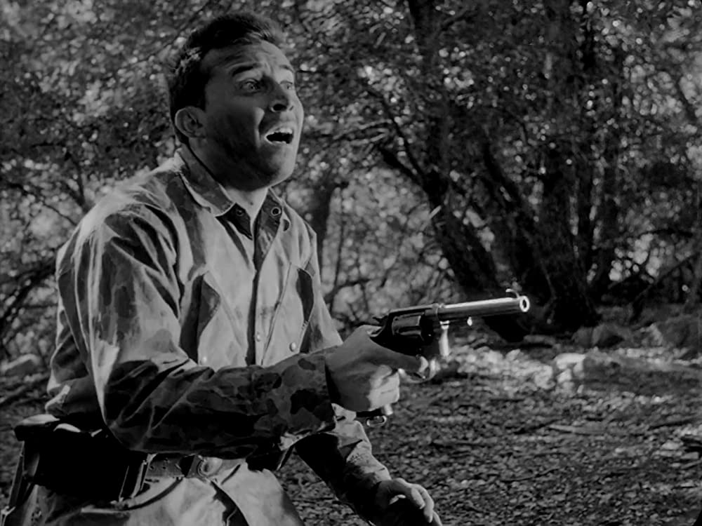 「恐怖と欲望」ポール・マザースキーの画像