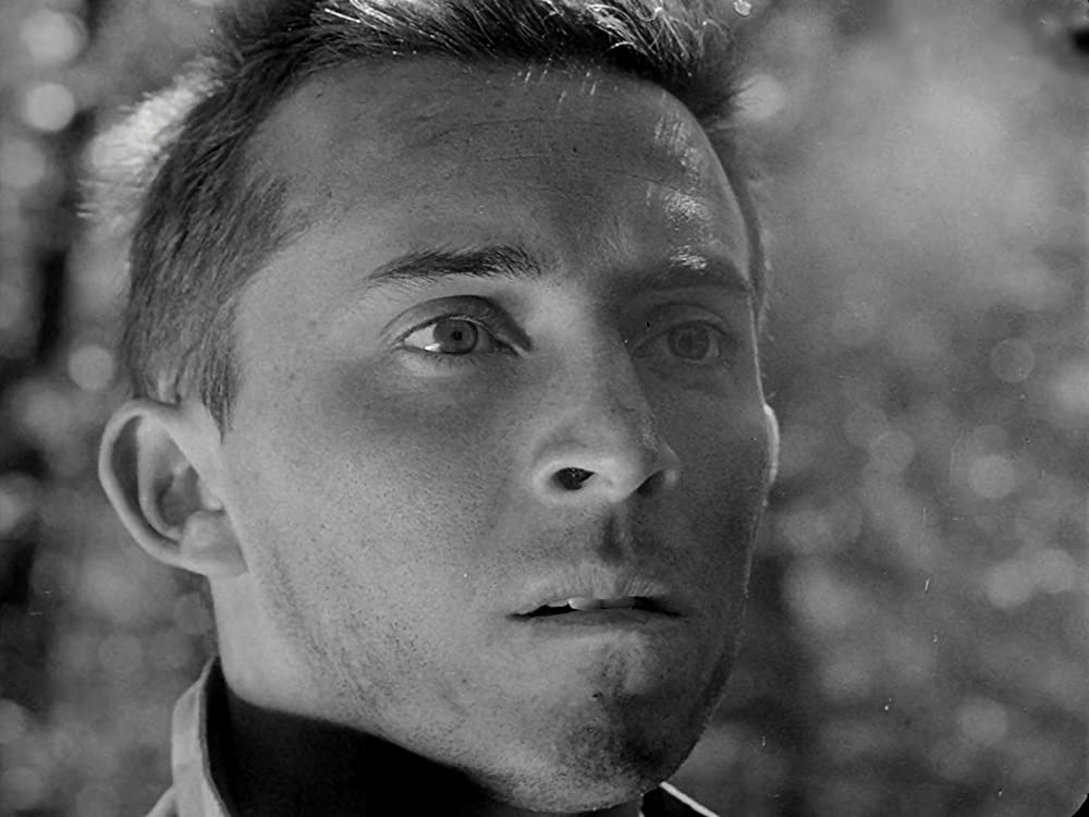 「恐怖と欲望」ポール・マザースキーの画像