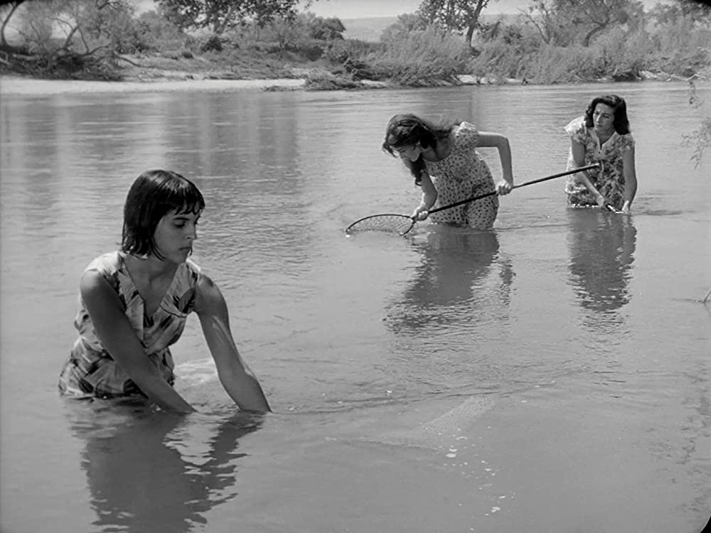 「恐怖と欲望」バージニア・リースの画像