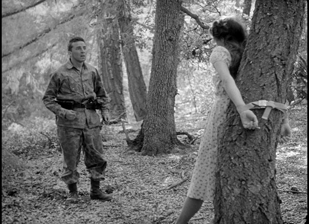 恐怖と欲望の画像