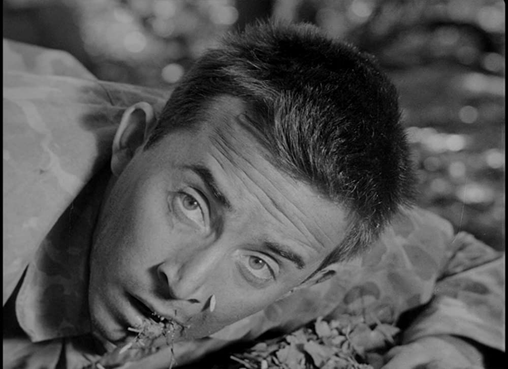 恐怖と欲望の画像