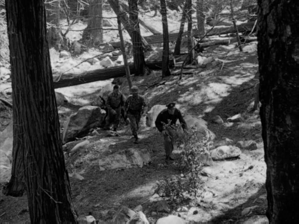 恐怖と欲望の画像