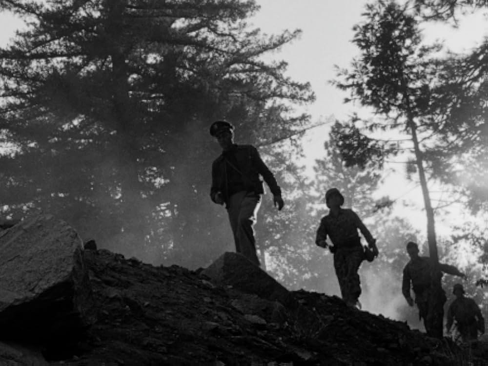 恐怖と欲望の画像