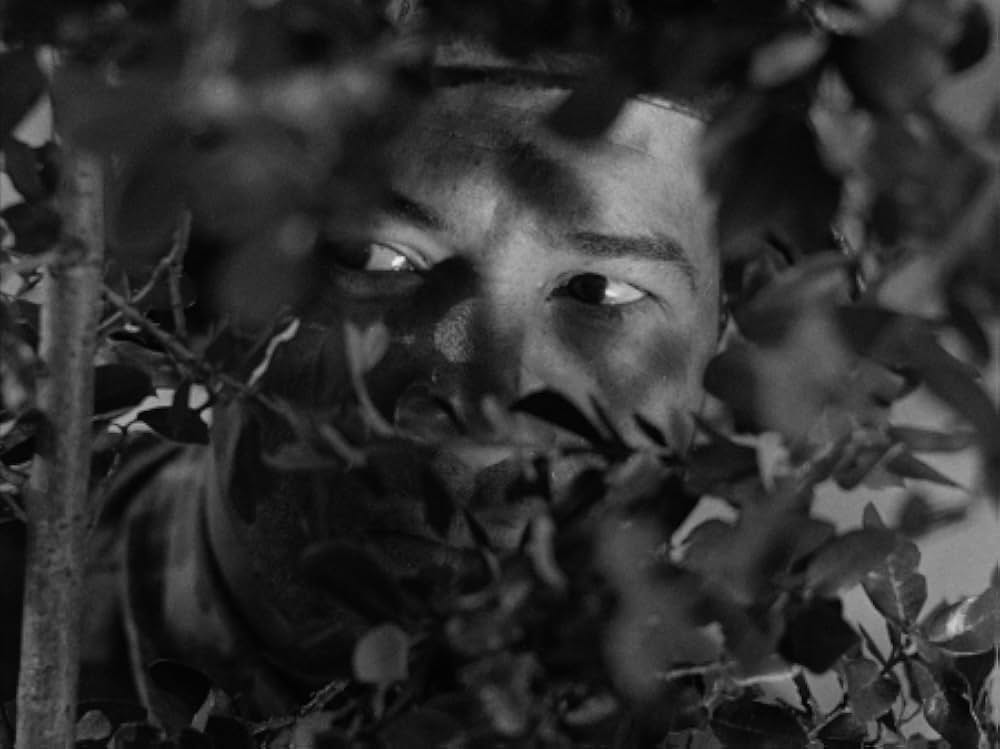 恐怖と欲望の画像