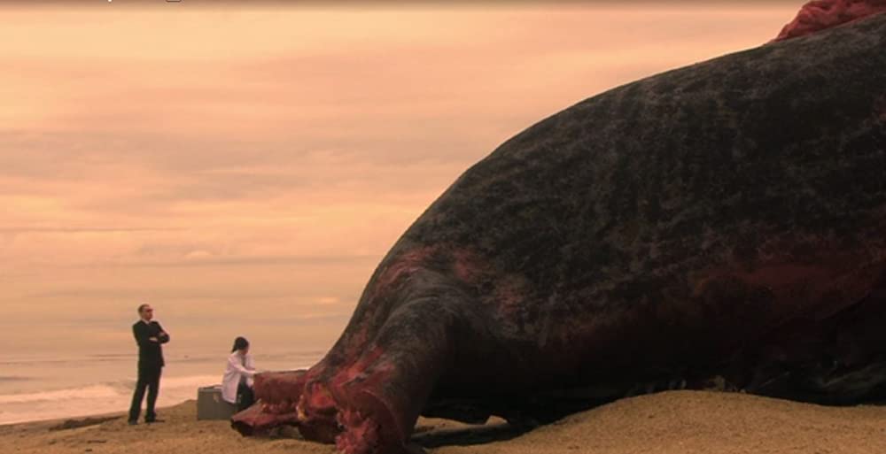 メガ・シャークVSジャイアント・オクトパスの画像