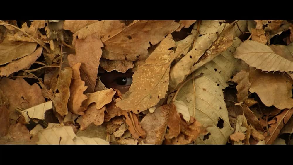 その怪物の画像