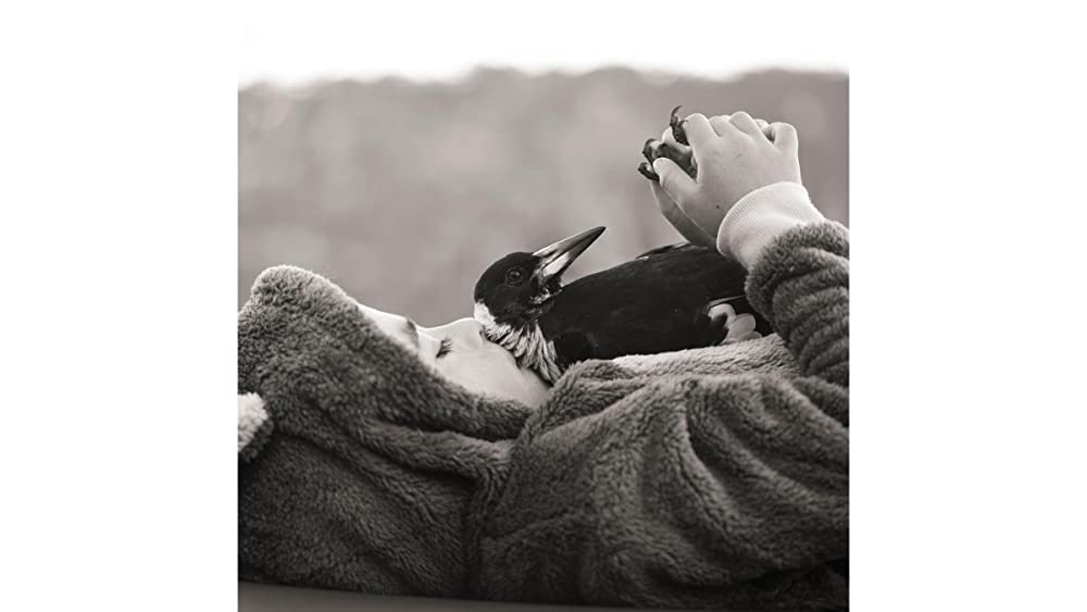 ペンギンが教えてくれたことの画像