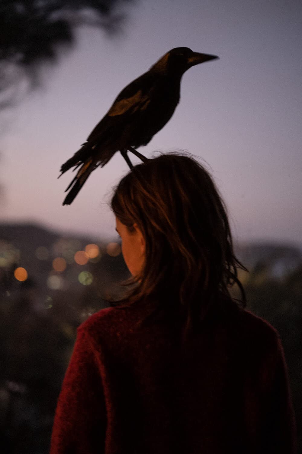 ペンギンが教えてくれたことの画像