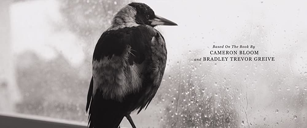 ペンギンが教えてくれたことの画像