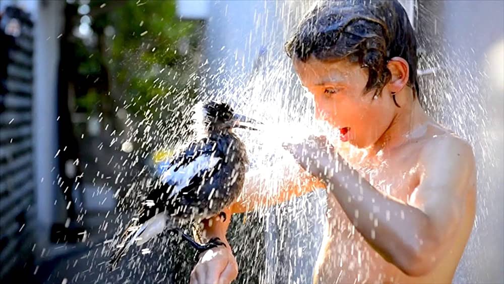 ペンギンが教えてくれたことの画像