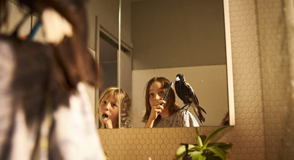 ペンギンが教えてくれたことの画像