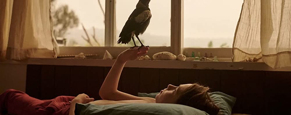 ペンギンが教えてくれたことの画像