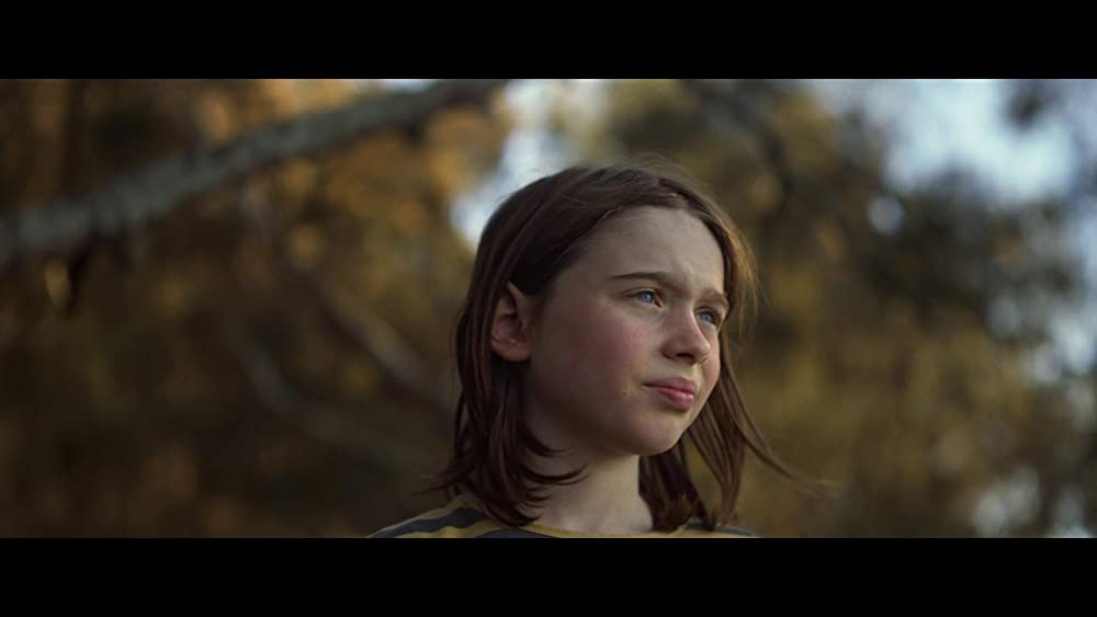 ペンギンが教えてくれたことの画像