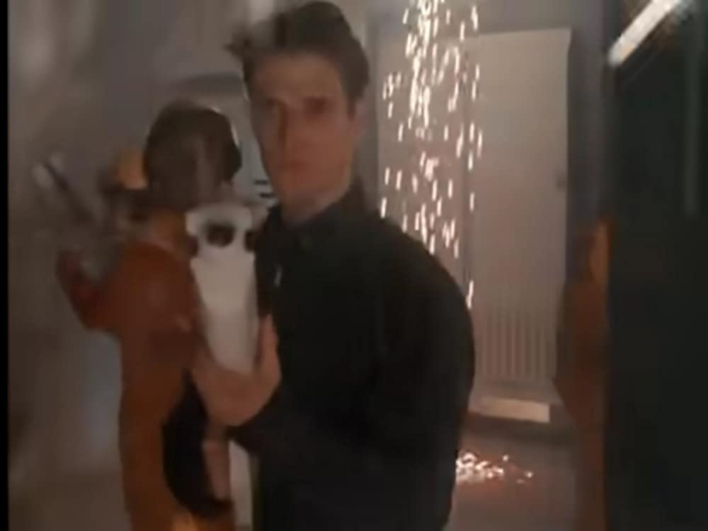 ゴジラVSキングギドラの画像