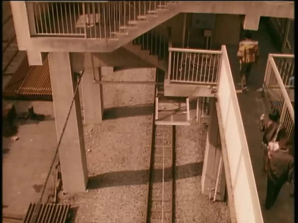 三月のライオンの画像