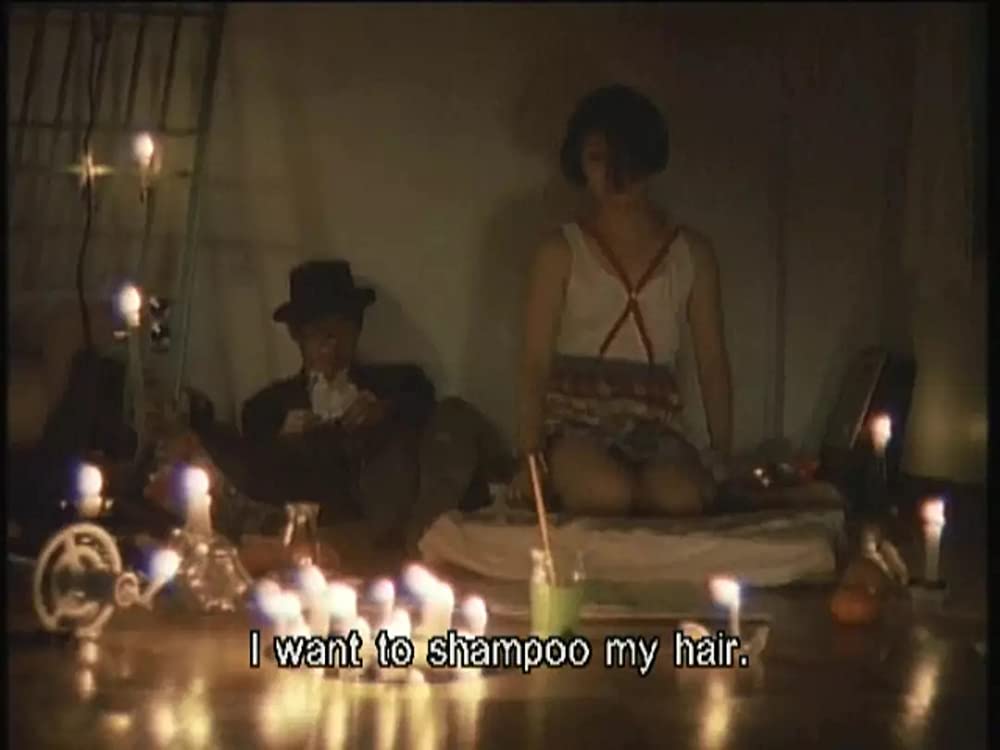 三月のライオンの画像