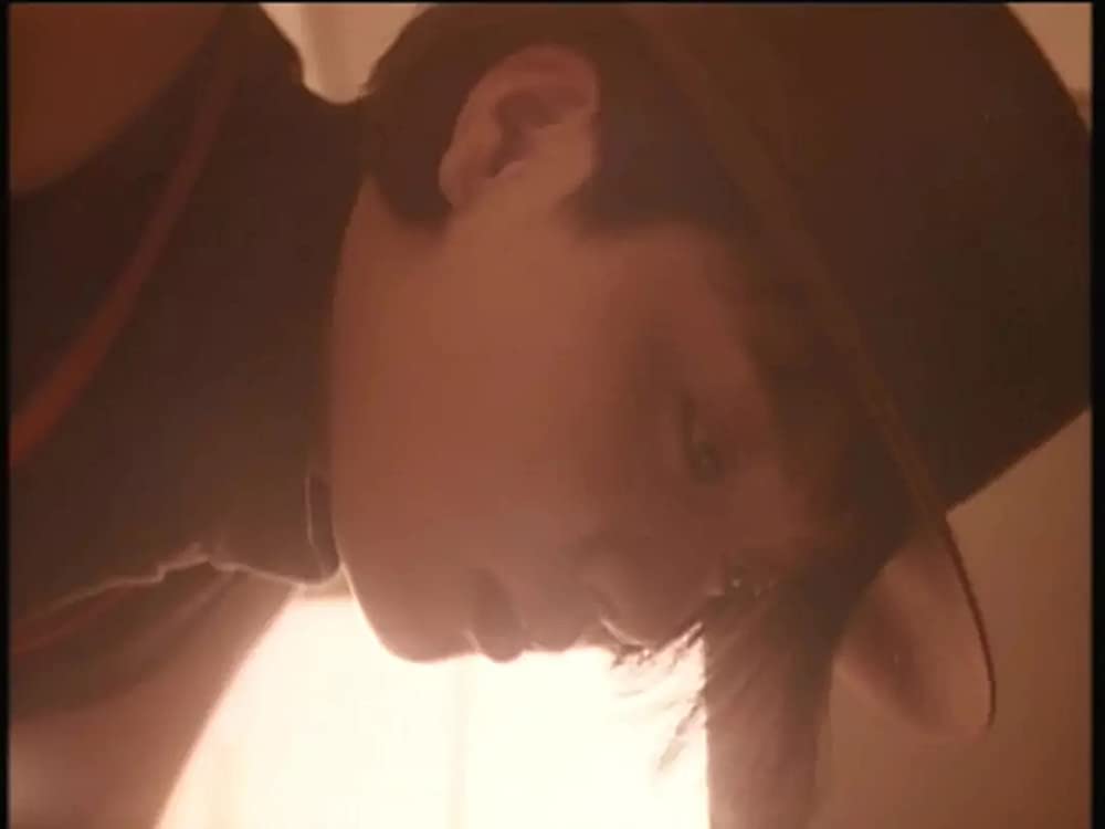 三月のライオンの画像