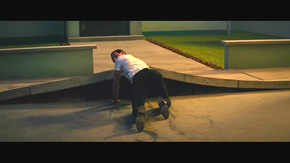 ビバリウムの画像