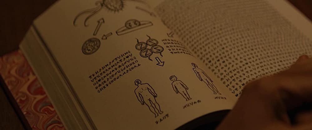 ビバリウムの画像