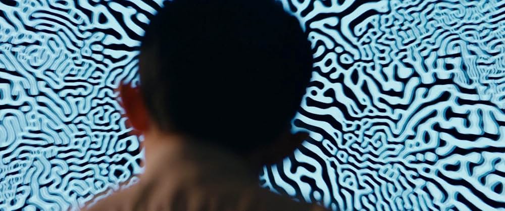 ビバリウムの画像