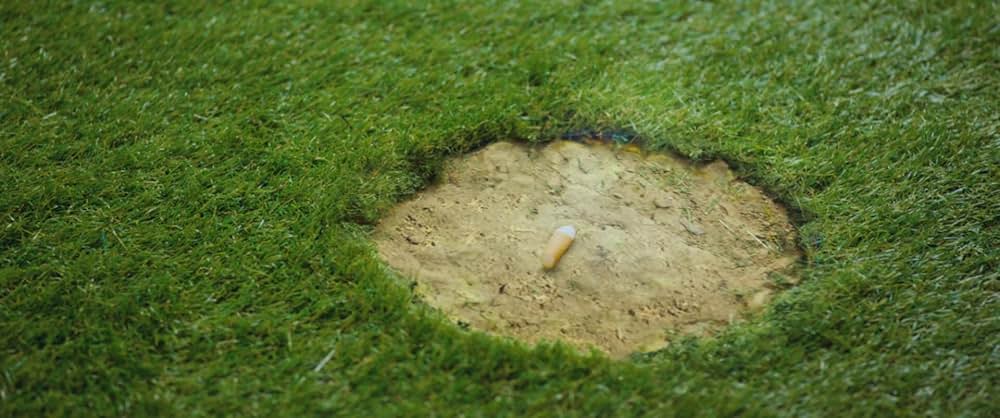 ビバリウムの画像