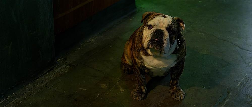 ザ・スクリブラーの画像