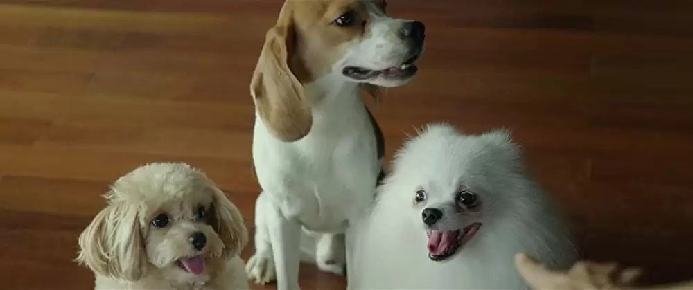 パラサイト 半地下の家族の画像